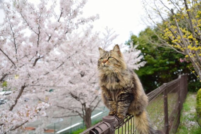 自分の心を置き去りにしないで生きる たったひとつの方法〜人生このままでいいのかなぁと思っている貴女へ〜