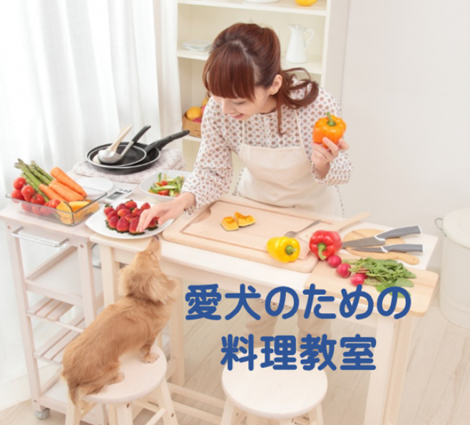 愛犬のための料理教室「ドッグレシピプランナー協会」