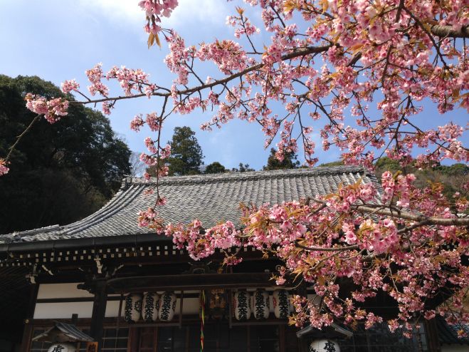 プロの神社ガイドさんによる宝亀山京都ツアー第5弾 嵐山・嵯峨野編