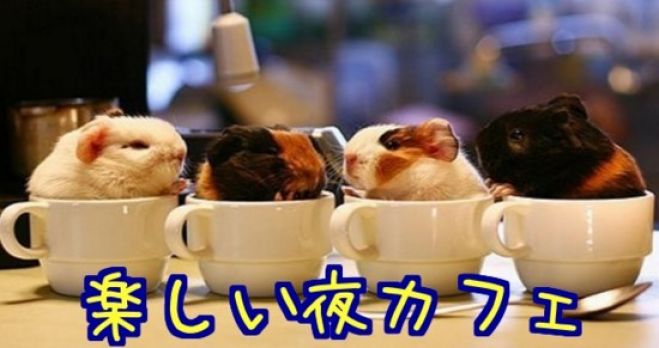 楽しい夜カフェ【仕事帰りに人脈作り】