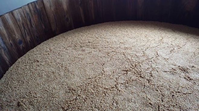 第二回6月8日《水》「醸造の聖地・三河の発酵食文化にふれる 白だし・七福醸造編」 ~三河・碧南発祥の白しょうゆの魅力を作り手から学ぶ~