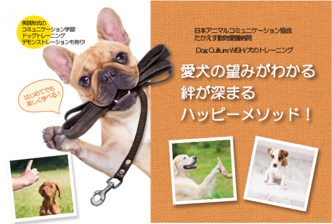 人も犬も幸せになる『しつけ&アニマルコミュニケーション』