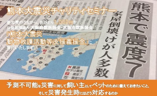 予測不可能な災害に対して飼い主としてペットのために備えておきたいこと
