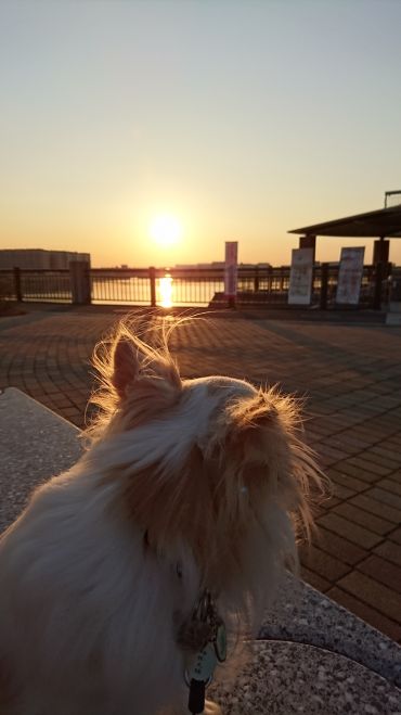 ワンニャンと夢を叶える!宝地図セミナー