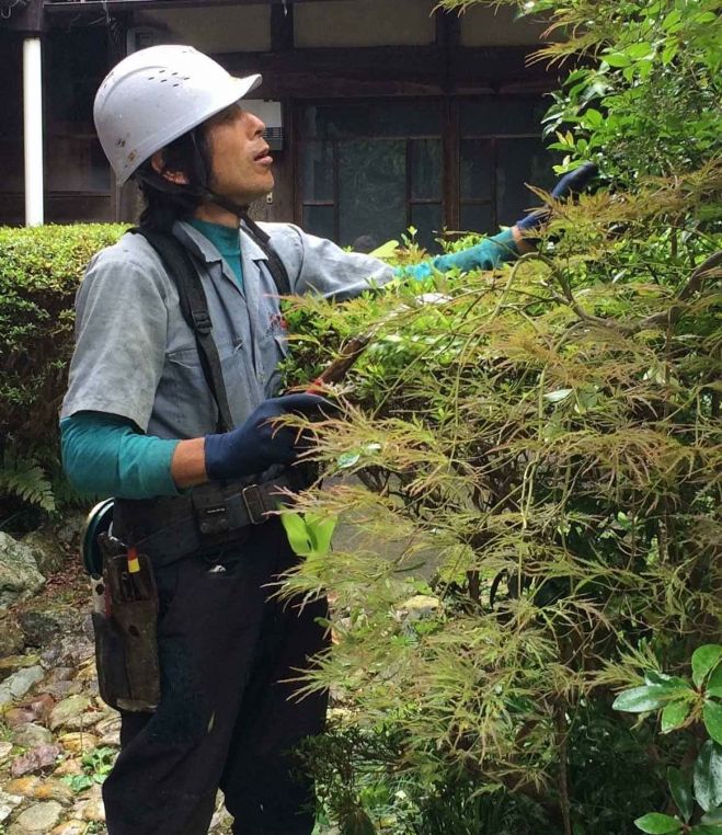 呼吸する大地 よみがえる森