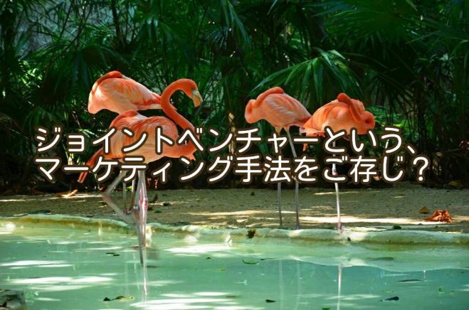 【要予約制】事業拡大したいパートナーへの案件譲渡説明会!!!当方で扱っている案件を譲渡させていただきます!!