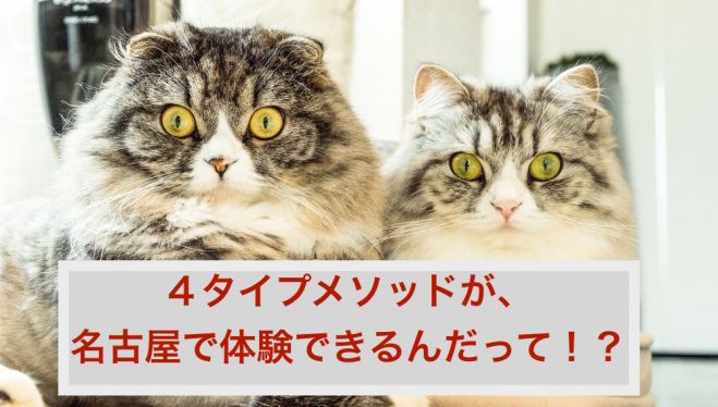 人間関係がラクになる4タイプメソッドセミナー