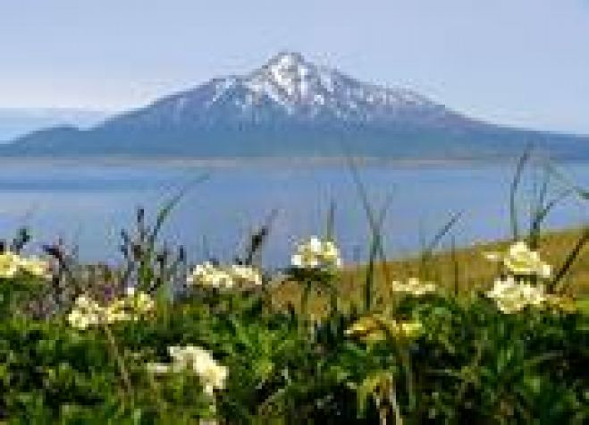 【旅行会社エイチ・アイ・エス】稚内チャーター便で行く夏の北海道旅行説明会
