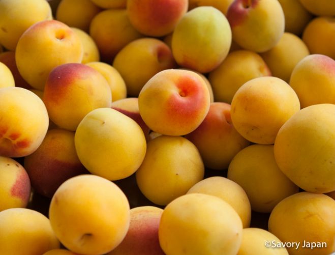 さわやかな初夏の味!梅づくし料理教室