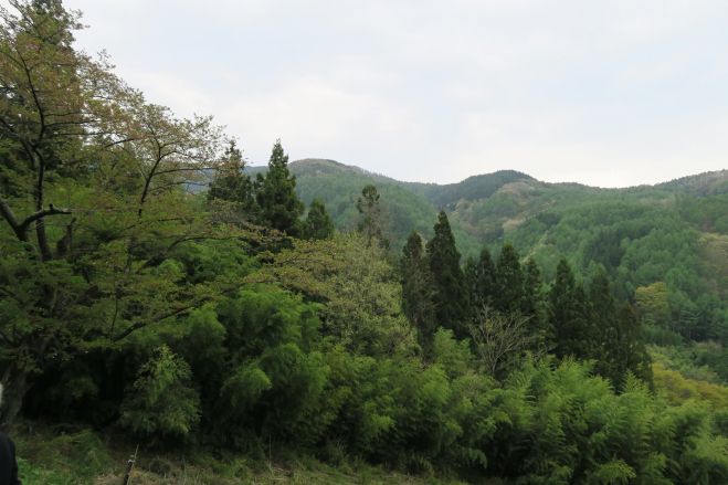 リーダーのための言霊塾紹介セミナー ~日本人の良心の解放~