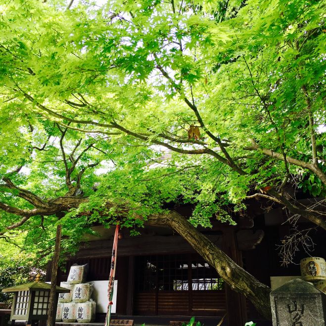 【受付中止】 奉拝!美仏と御朱印に出逢う街