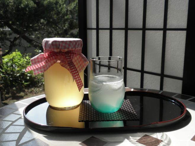 フルーツ酵素ドリンク教室