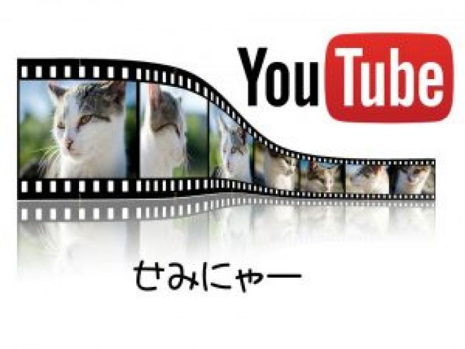 YouTube在宅副業セミナー