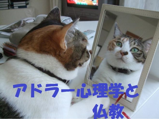 【京都】アドラー心理学と仏教