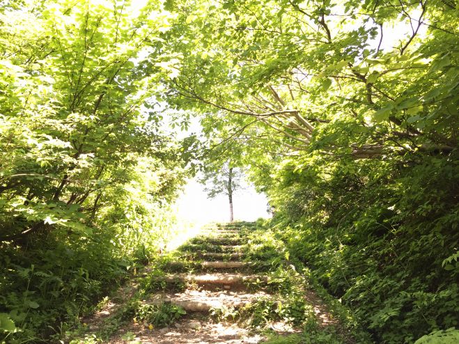 感情の本当の意味を知っていますか?