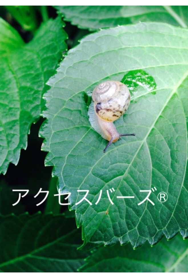 アクセスバーズⓇ2日間講座 6月7日&8日