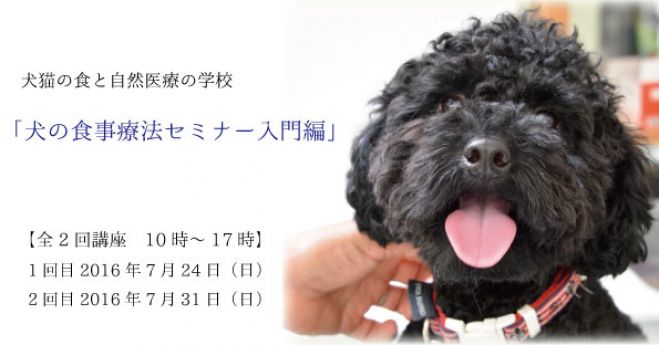 犬の食事療法セミナー入門編(全2回)
