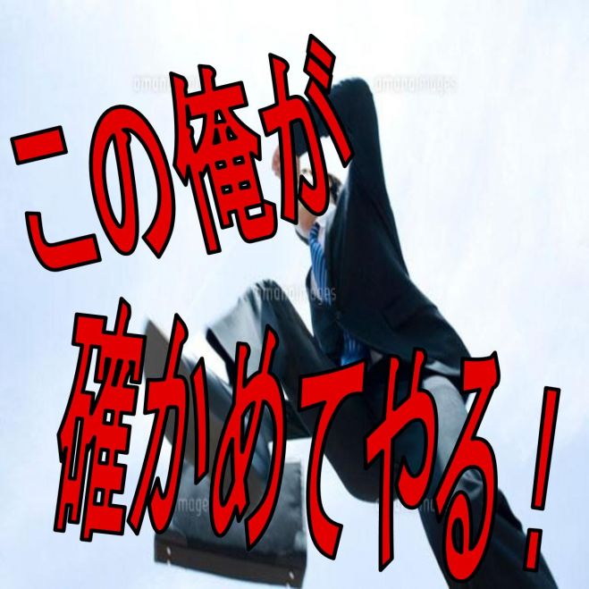 ≪騙されてたまるか。そんなウマい話あるか≫今まで散々な目に遭ってきたあなたにこそ御参加頂きたい《ホンモノなのか否かはあなた御自身の目で確かめてください》