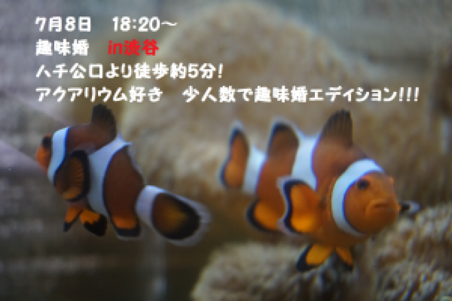 アクアリウム好き 少人数で趣味婚エディション!!!