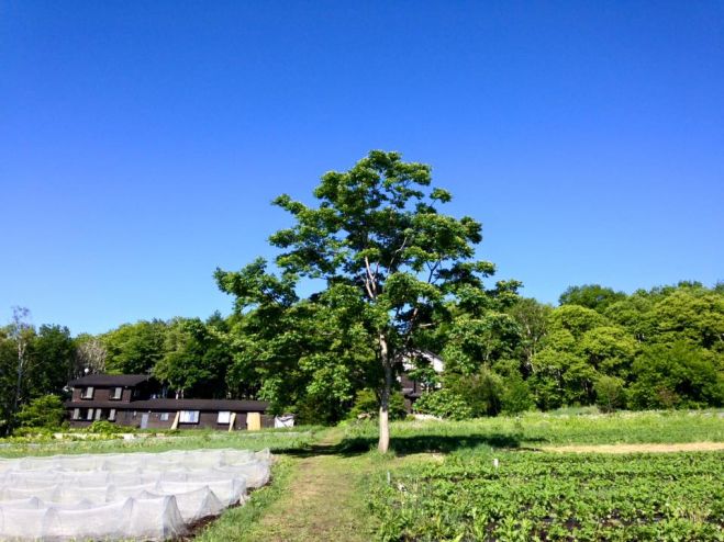 感情との付き合い方 向上委員会