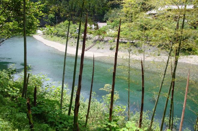 部下育成指導力を高める 五段階思考法