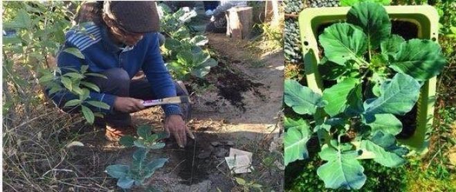 岡本よりたかさんのとっても大切な食や農業のお話第3回〜はじめよう♪自然栽培で家庭菜園作り〜