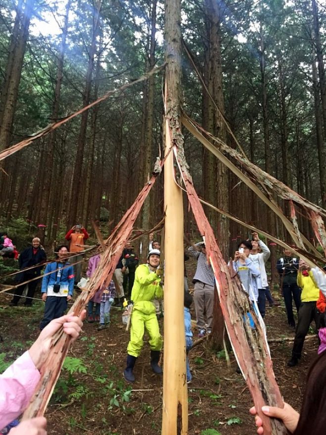 親子で500年後の日本の森を再生しよう!「きらめ樹」体験☆彡