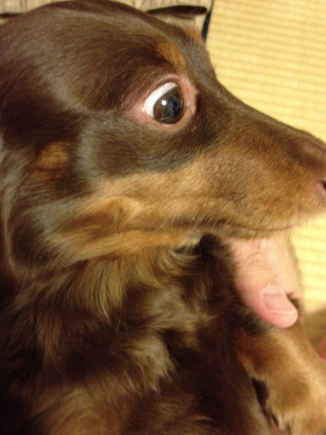 本質が分かればどんどん変わるプロジェクトマネジメント講座