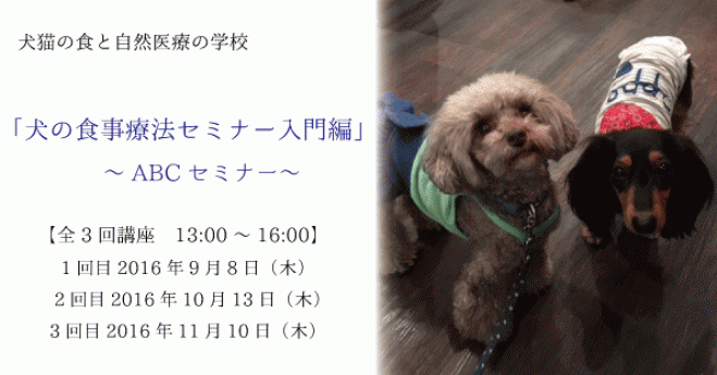 犬の食事療法セミナー入門編~ABCセミナー~(全3回)