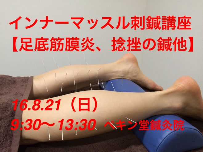 インナーマッスル刺鍼講座(足底筋膜炎、下肢の腱鞘炎、捻挫の深刺鍼講習)