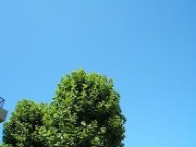 サポートひろがり 5周年お誕生会
