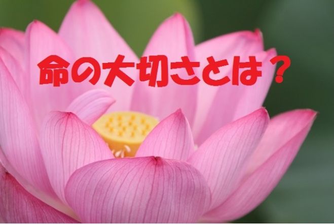 【神戸・三宮駅近く】なぜ生きる勉強会~殺傷事件を通して命の大切さを考える