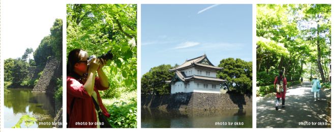 【 プロカメラマンmacciさんの写真講座】 都会のオアシス皇居東御苑をカメラ散歩