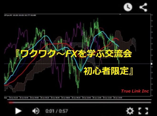 『ワクワク~FXを学ぶ交流会・初級編』