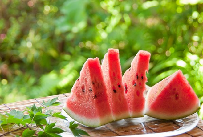 湘南の古民家で子どもの頃の夏休みをもう一度!おとなのなつやすみin湘南
