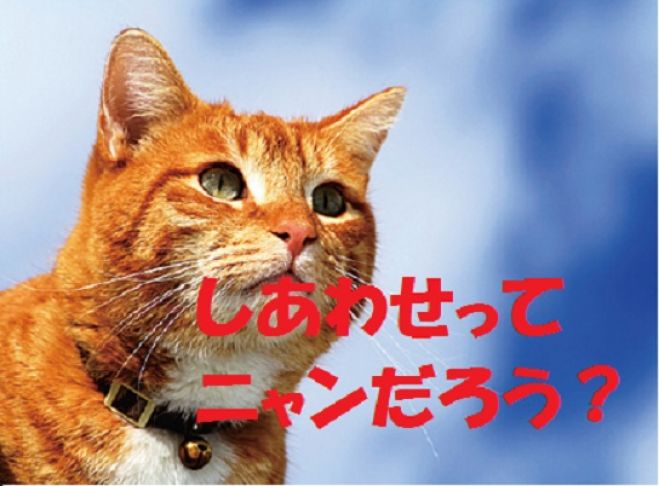 【JR高槻駅すぐ】ブッダの生き方と幸せの形~オリンピックが終わって