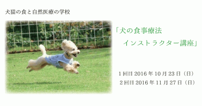 犬の食事療法インストラクター講座(全2回)