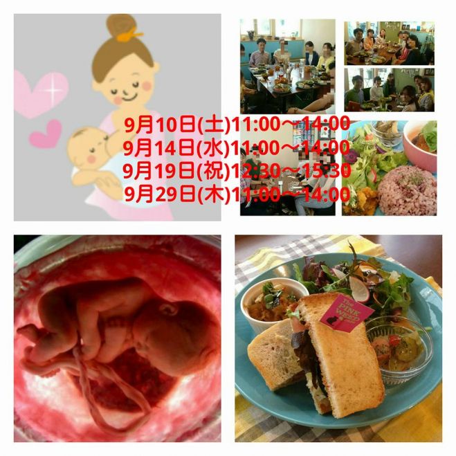 お母さんとこどものための食育、環境健康学 9月10日(土)~9月29日(水)