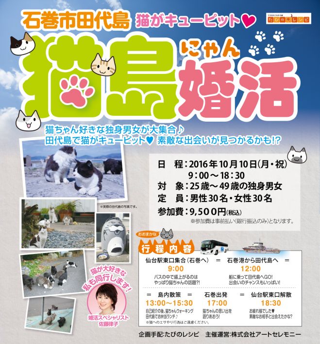 猫島にゃん婚活@石巻市田代島