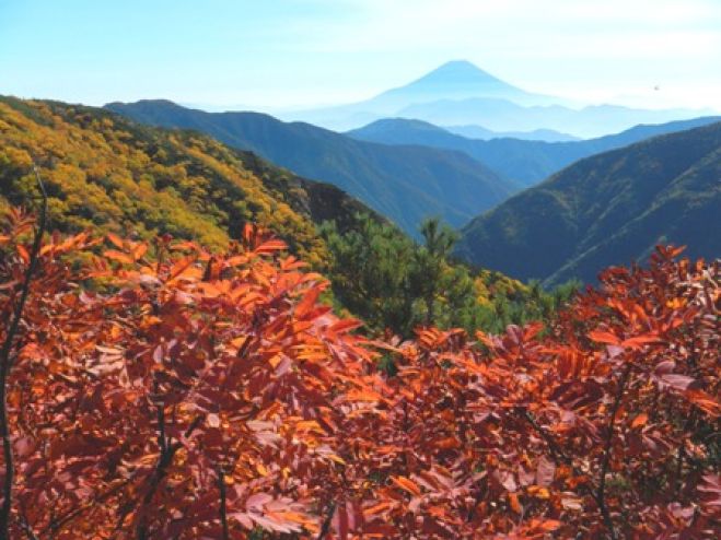 ガイドと行く 少人数限定 絶景紅葉の南アルプス3泊4日 荒川三山、赤石岳
