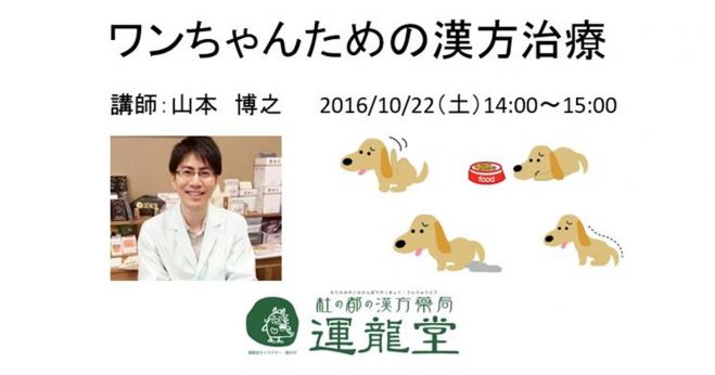 ワンちゃんのための漢方治療
