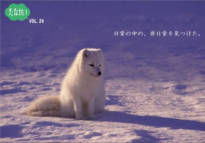 朗読会「たなかいVOL.24」開催のお知らせ
