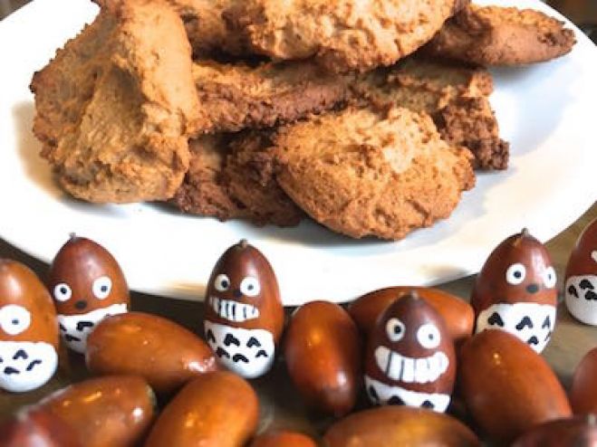 ドングリをおいしく食べよう! 〜親子のわくわくネイチャークッキング〜
