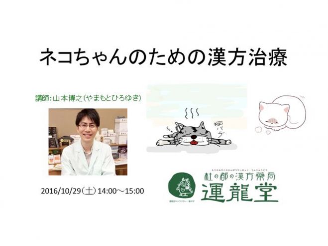 ネコちゃんのための漢方治療
