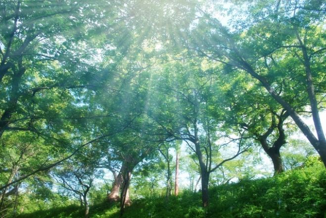 《無料セミナー》自分の「強み」を知り実践し成果が出る具体的行動ステップ