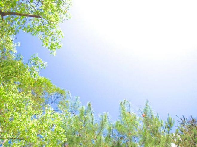 自然栽培と自然療法からみる「ヒトはなぜ在るのか」