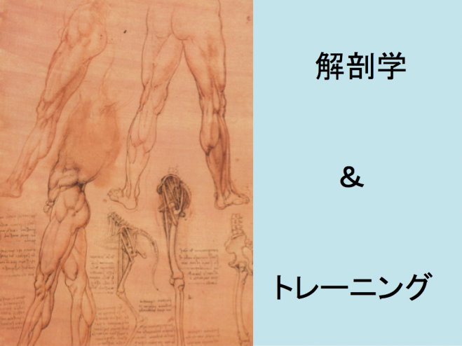トレーナーのための解剖学講義