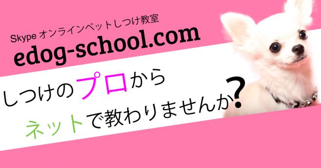 ドッグトレーナー様必見!「edog-school.com」講師募集説明会
