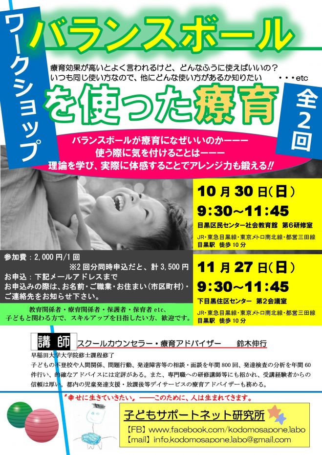 バランスボールを使った療育(ワークショップ)/ 全2回の2回目