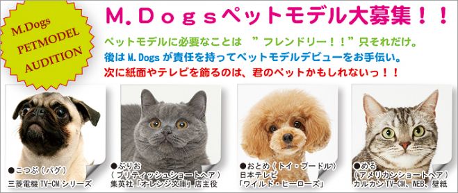 ペットモデル登録オーディション